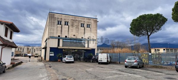 ufficio in affitto a Frosinone