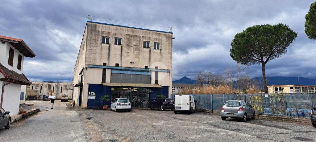 ufficio in affitto a Frosinone