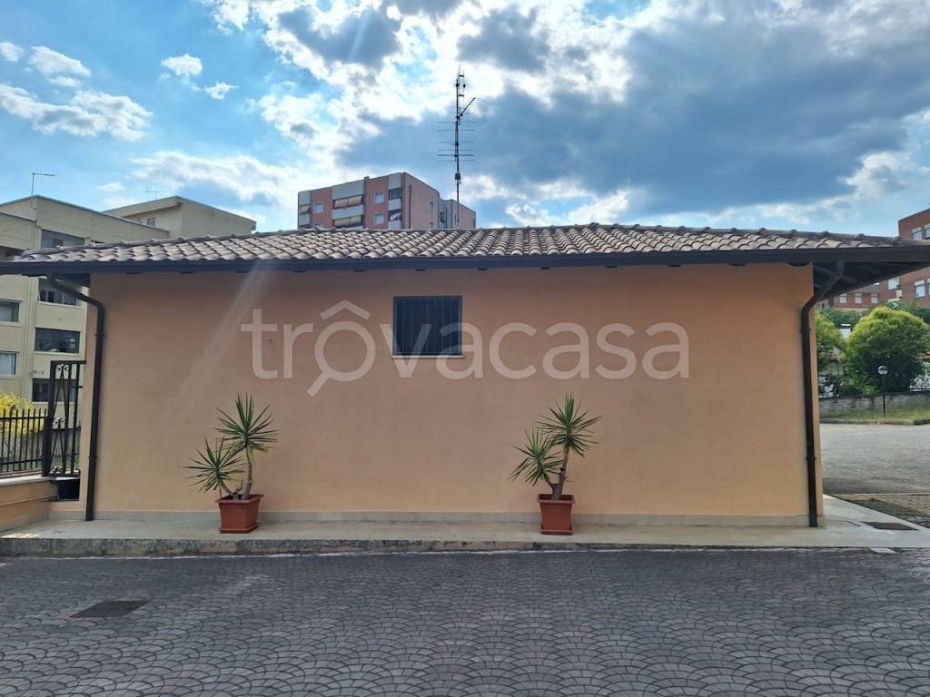 casa indipendente in affitto a Frosinone