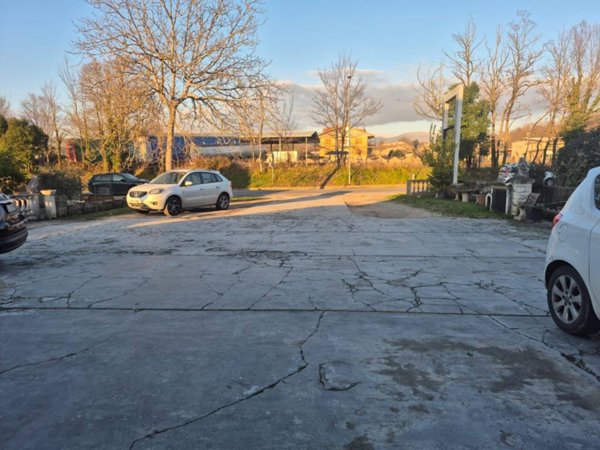 negozio in affitto a Frosinone