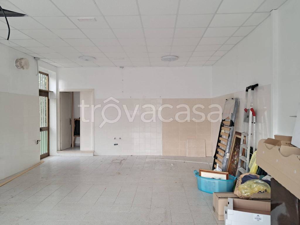 negozio in affitto a Frosinone