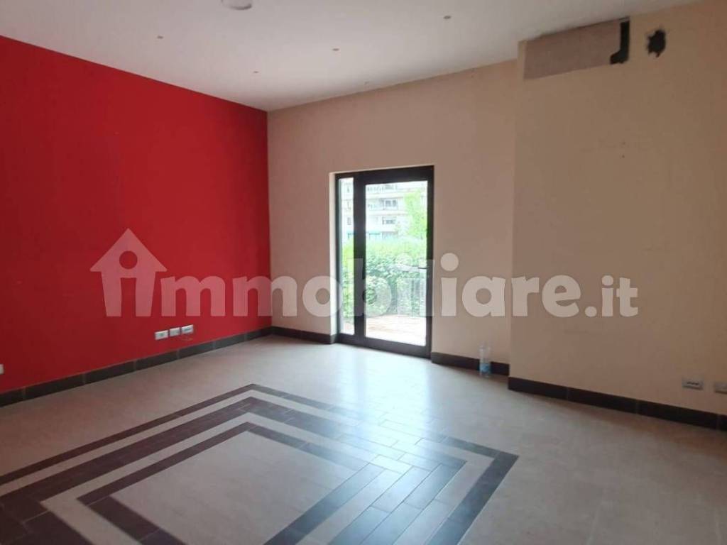 negozio in affitto a Frosinone