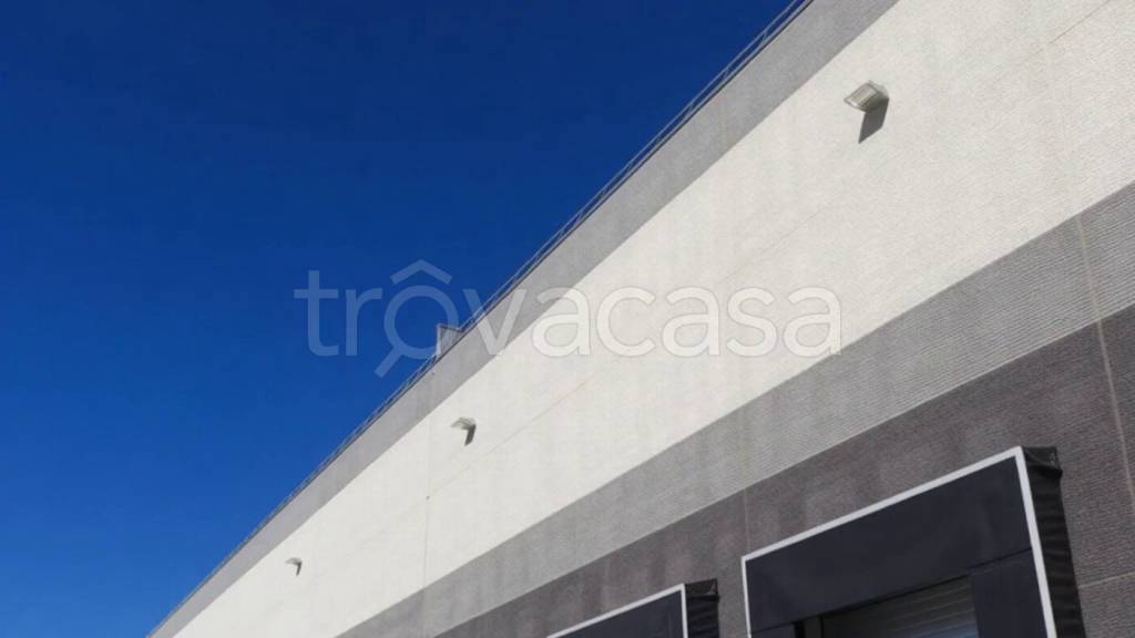 appartamento in affitto a Frosinone