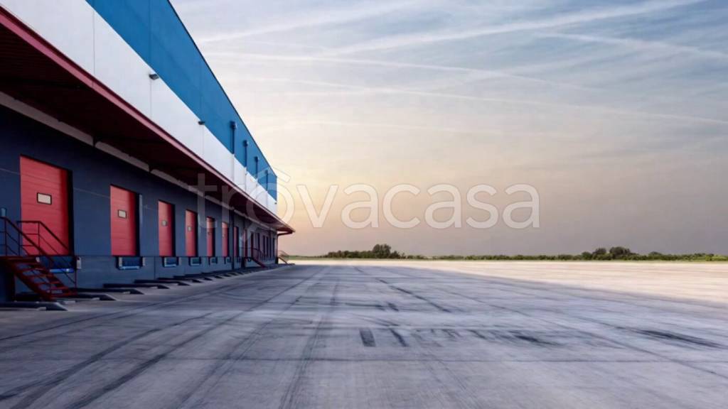 appartamento in affitto a Frosinone