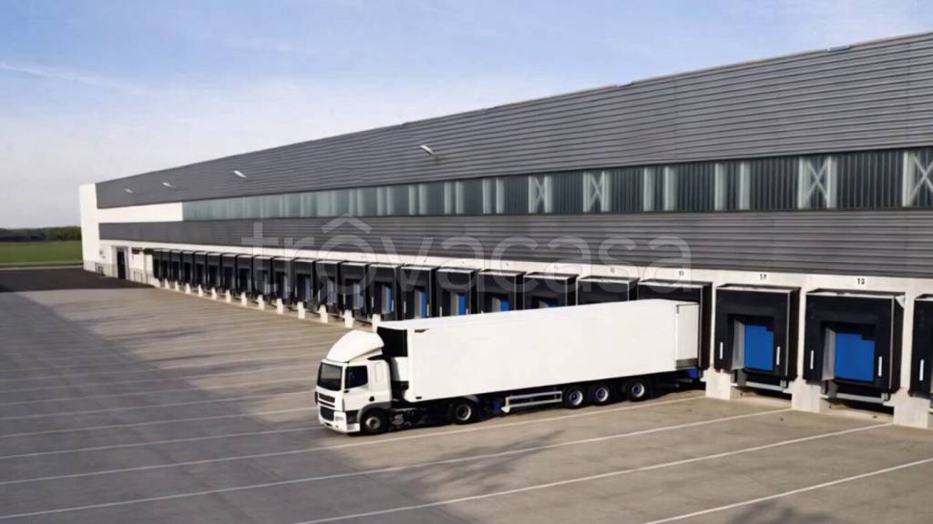 appartamento in affitto a Frosinone