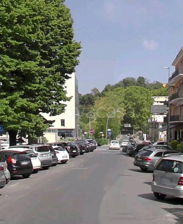 negozio in affitto a Frosinone