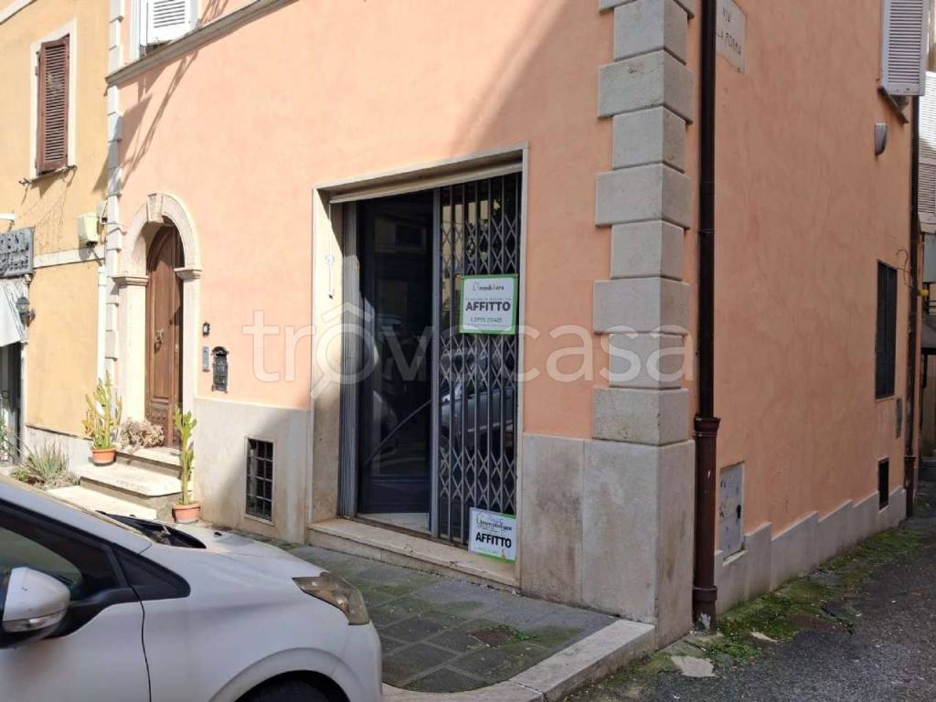 negozio in affitto a Frosinone
