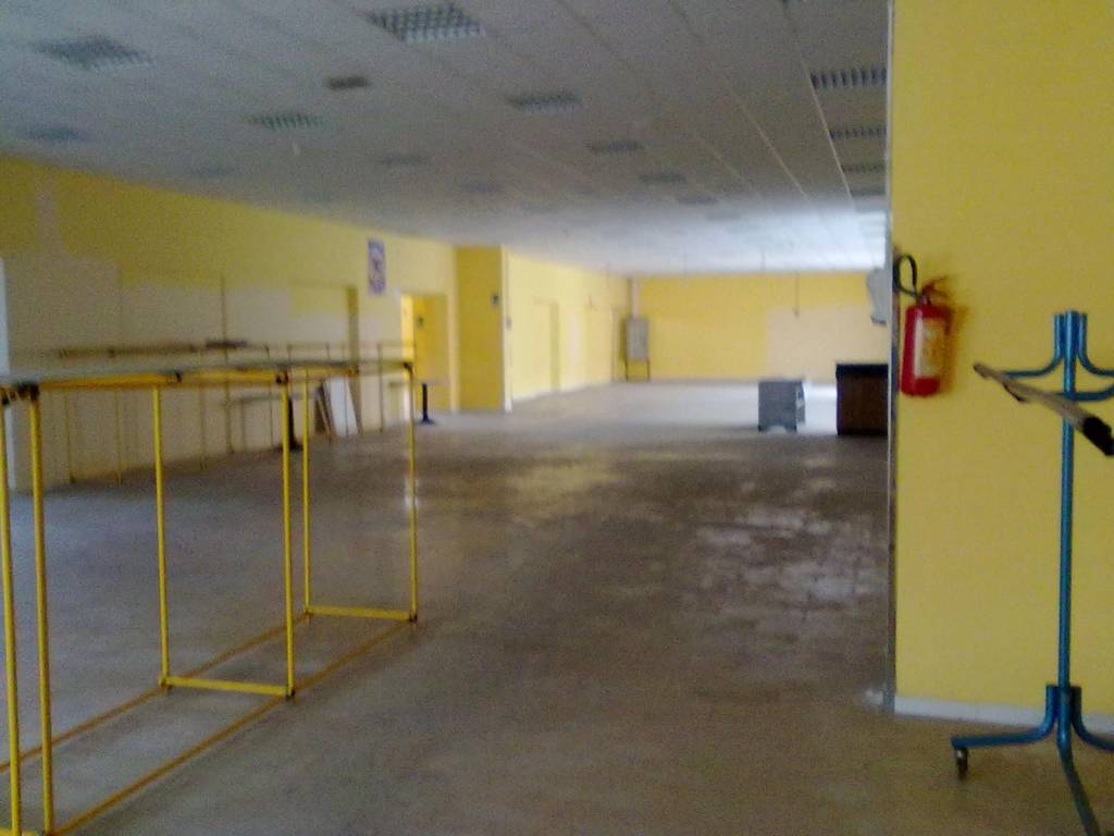 negozio in affitto a Frosinone