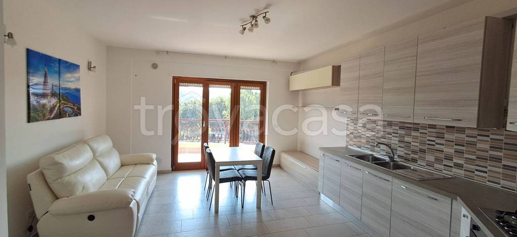 appartamento in affitto a Frosinone