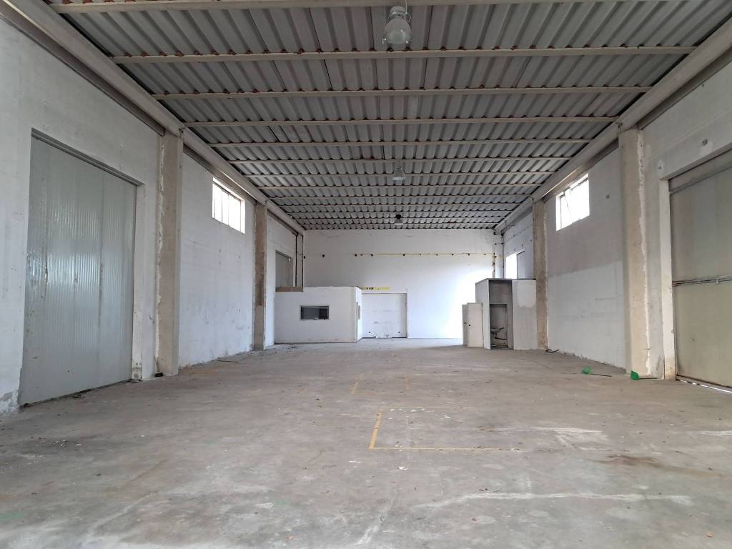 negozio in affitto a Frosinone