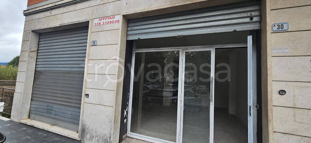 negozio in affitto a Frosinone