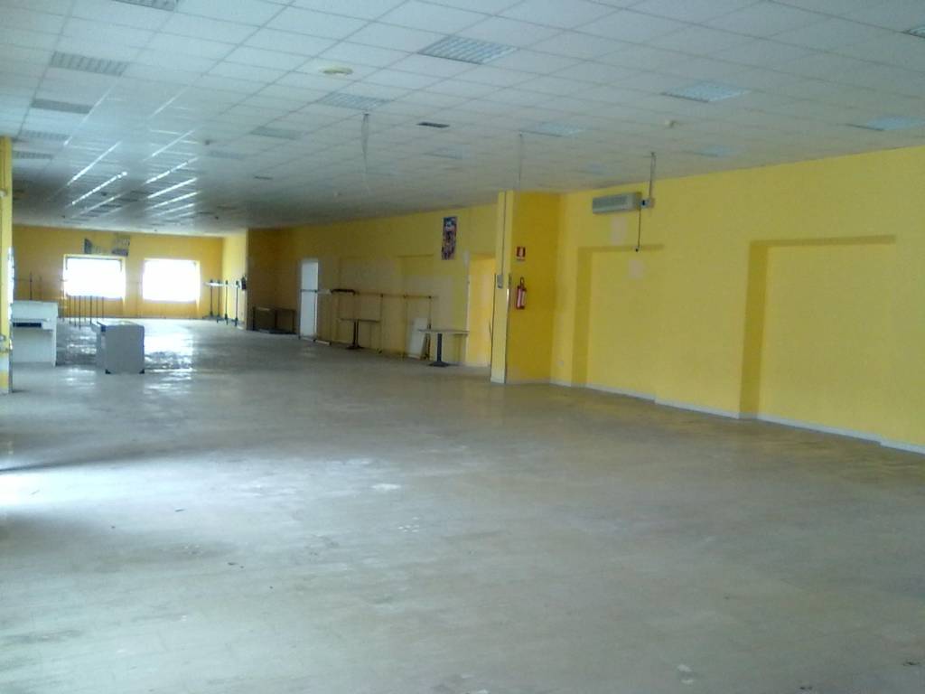 negozio in affitto a Frosinone