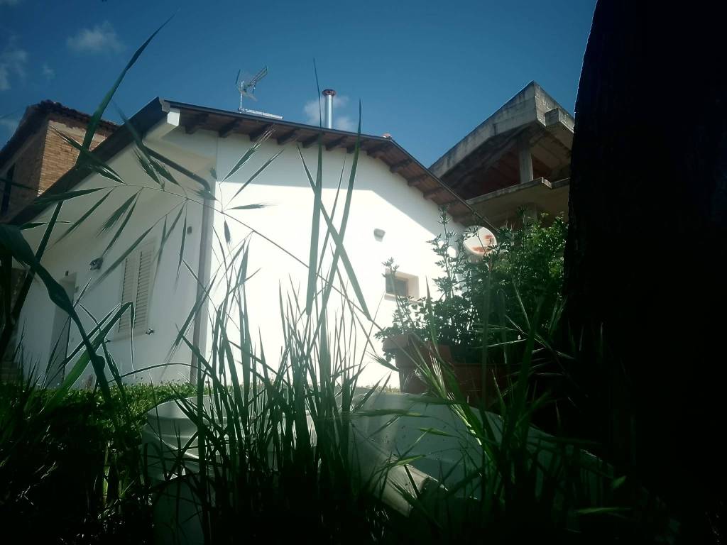 appartamento in affitto a Frosinone