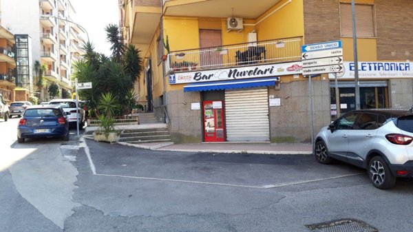 negozio in affitto a Frosinone