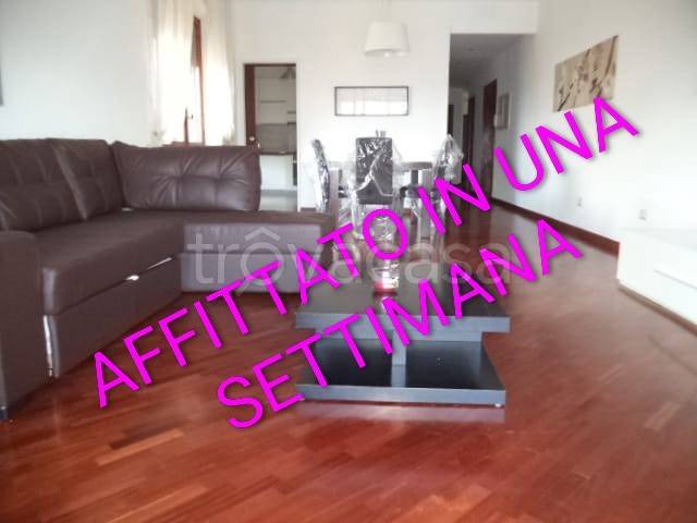 appartamento in affitto a Frosinone