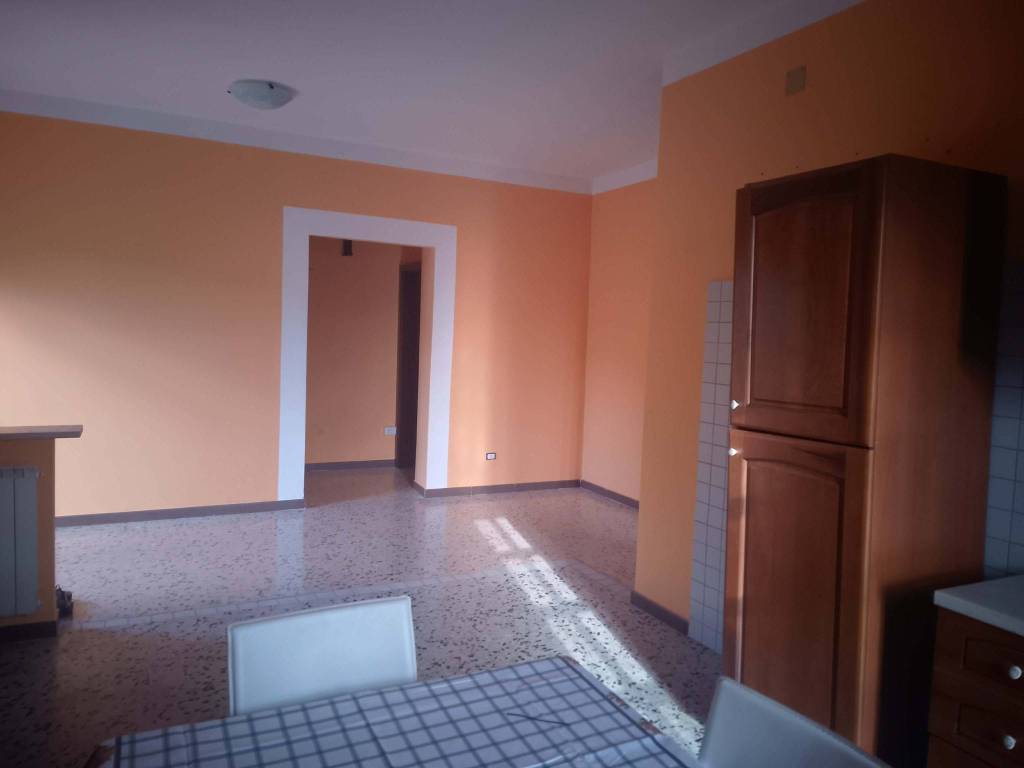 appartamento in affitto a Frosinone