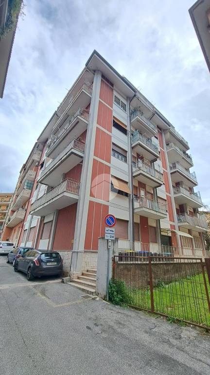 appartamento in affitto a Frosinone