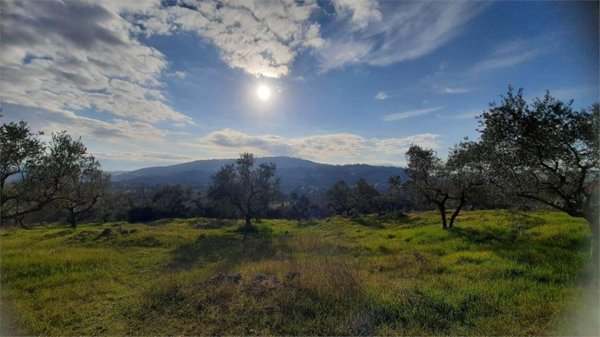 monolocale in affitto a Monte San Giovanni Campano