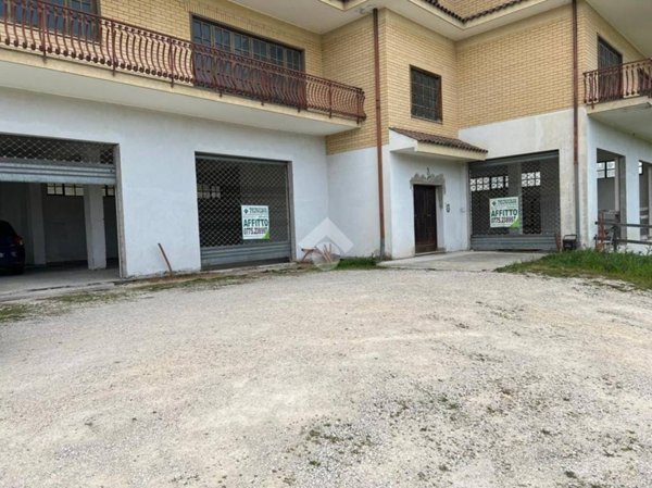 negozio in affitto a Monte San Giovanni Campano