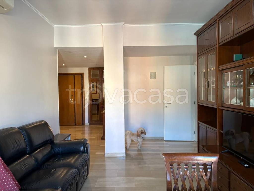 appartamento in affitto a Monte San Giovanni Campano in zona Colli