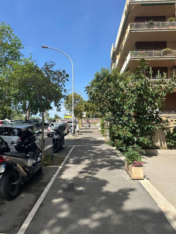 negozio in affitto a Monte San Giovanni Campano in zona Colli