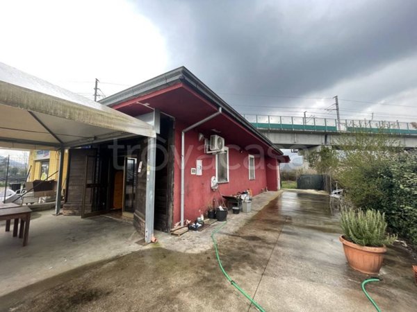 negozio in affitto a Patrica