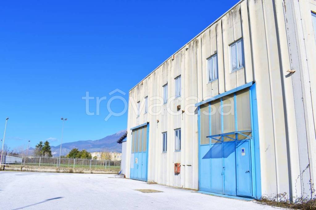 appartamento in affitto a Pignataro Interamna