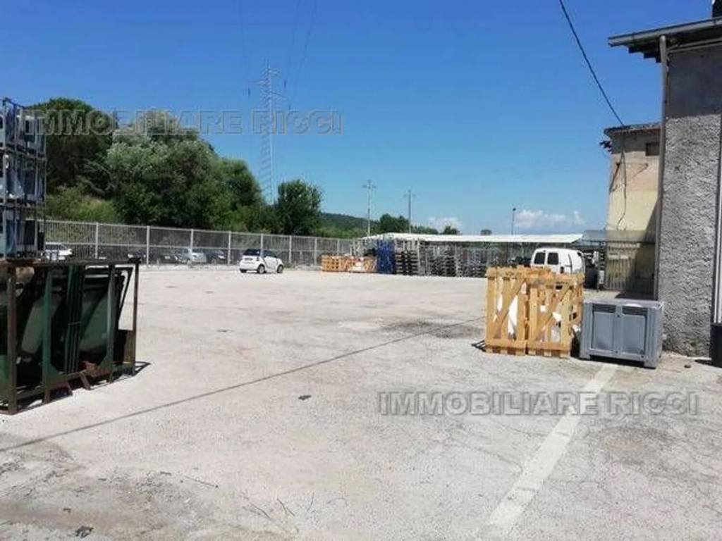 negozio in affitto a Pontecorvo
