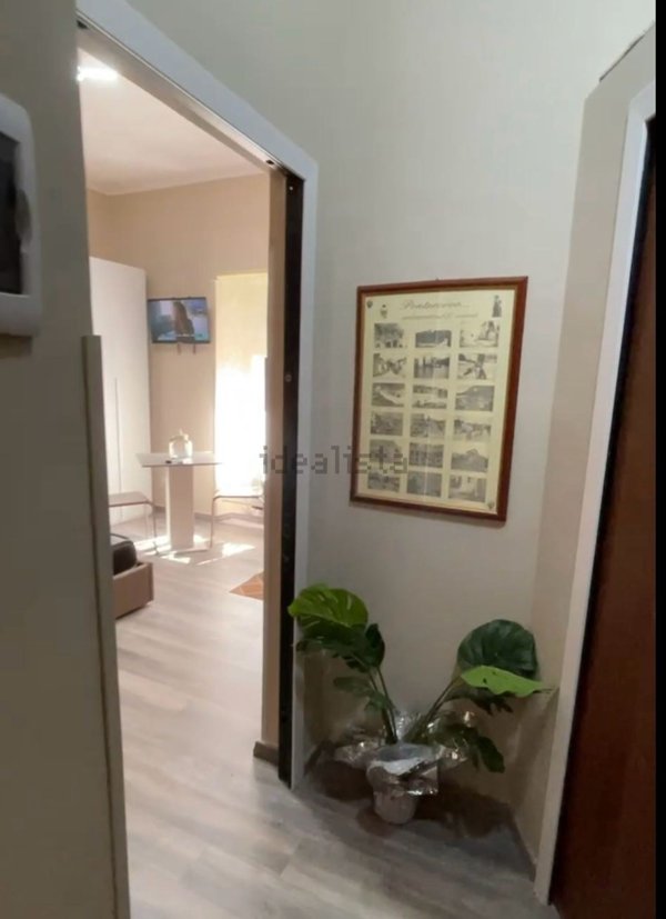 appartamento in affitto a Pontecorvo
