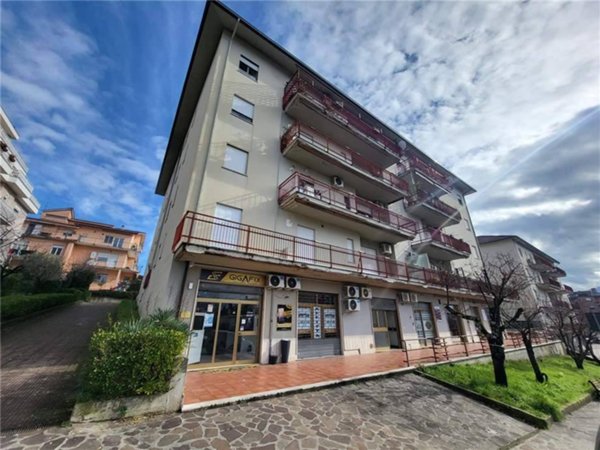 negozio in affitto a Pontecorvo