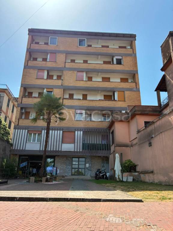 appartamento in affitto a Pontecorvo