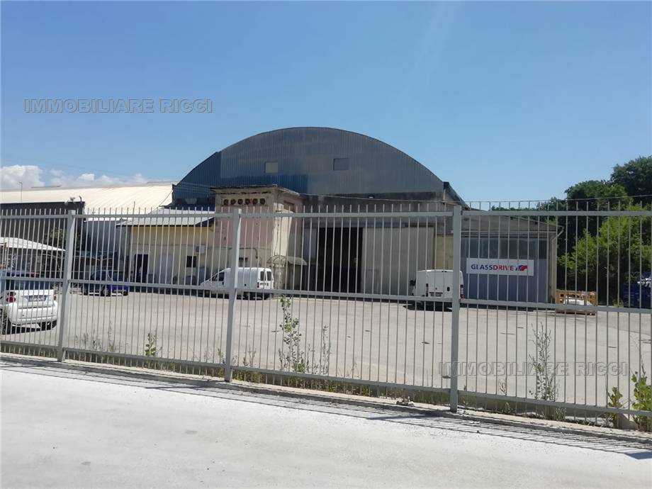 attivita commerciale in affitto a Pontecorvo