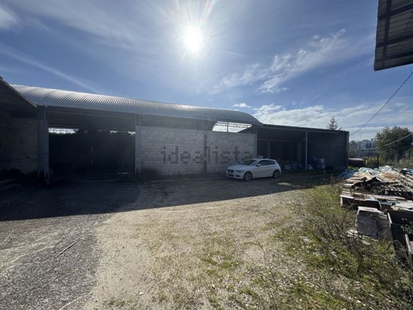 capannone in affitto a Ripi