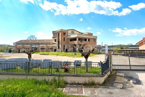 negozio in affitto a Ripi