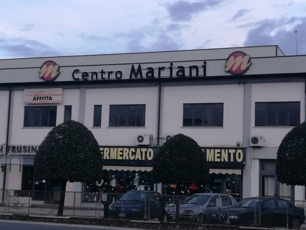 negozio in affitto a Ripi