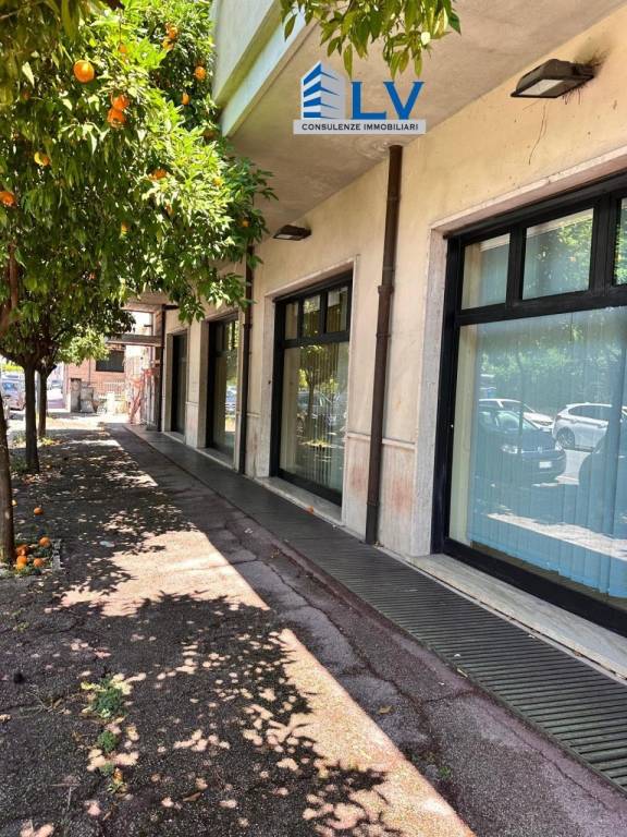 negozio in affitto a Sora