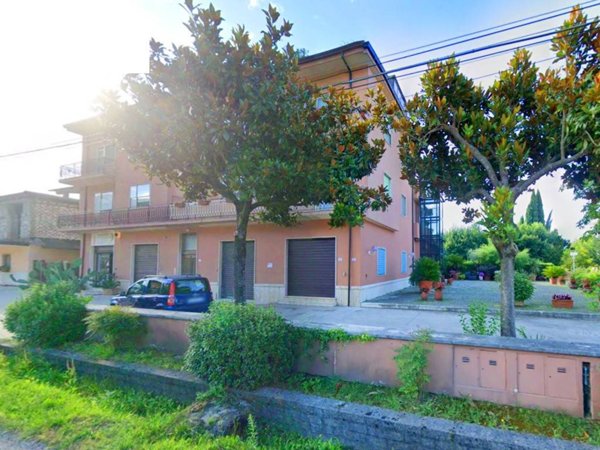 negozio in affitto a Sora
