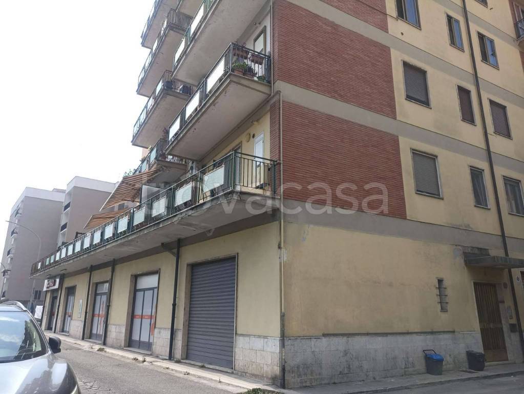 appartamento in affitto a Sora
