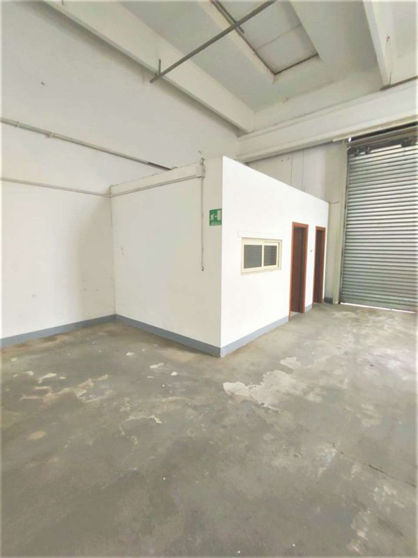 immagine annuncio 0 di 10