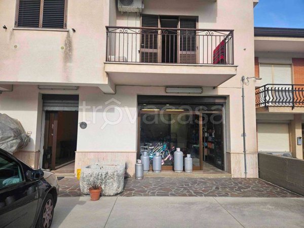 casa indipendente in affitto a Villa Latina