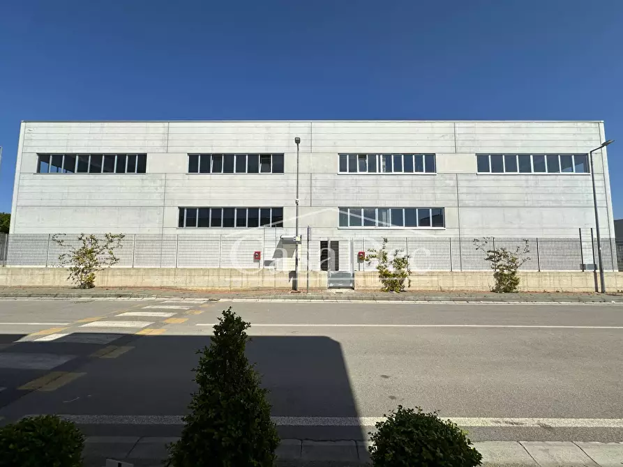 negozio in affitto a Cancello ed Arnone