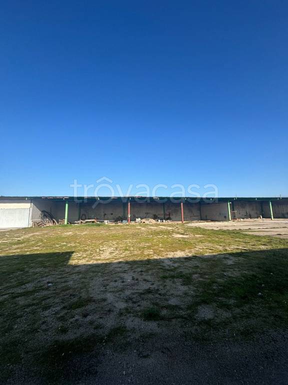 negozio in affitto a Cancello ed Arnone