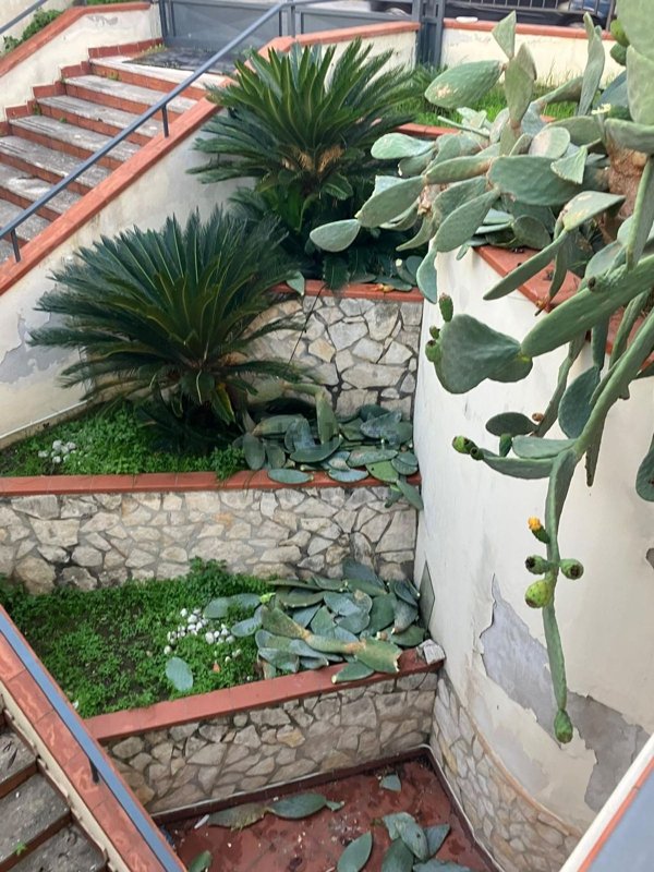 locale commerciale in affitto a Carinaro