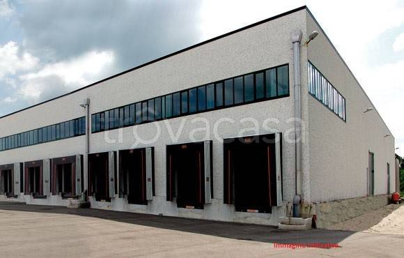 casa indipendente in affitto a Carinaro