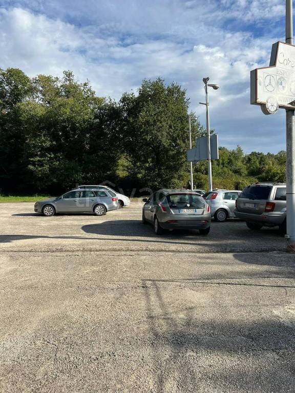 monolocale in affitto a Carinola