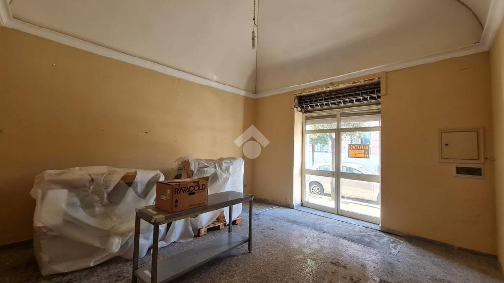 immagine annuncio 0 di 15