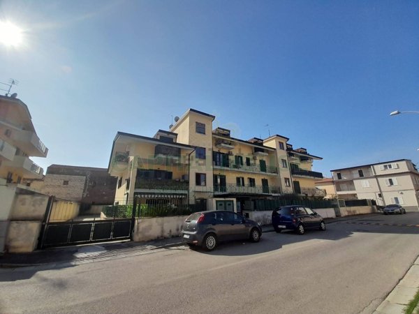 appartamento in affitto a Casapulla