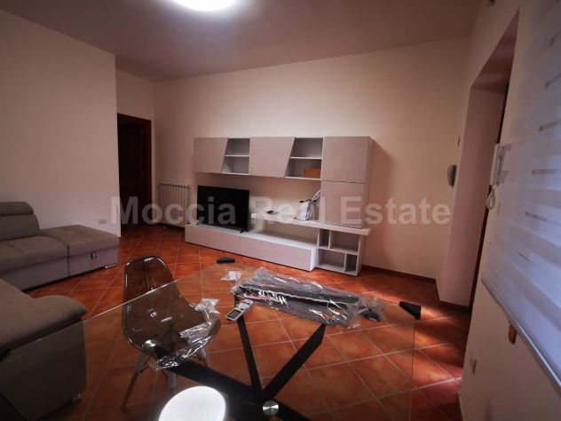 appartamento in affitto a Caserta