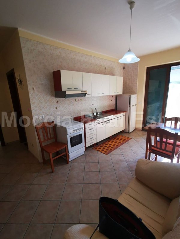 appartamento in affitto a Caserta