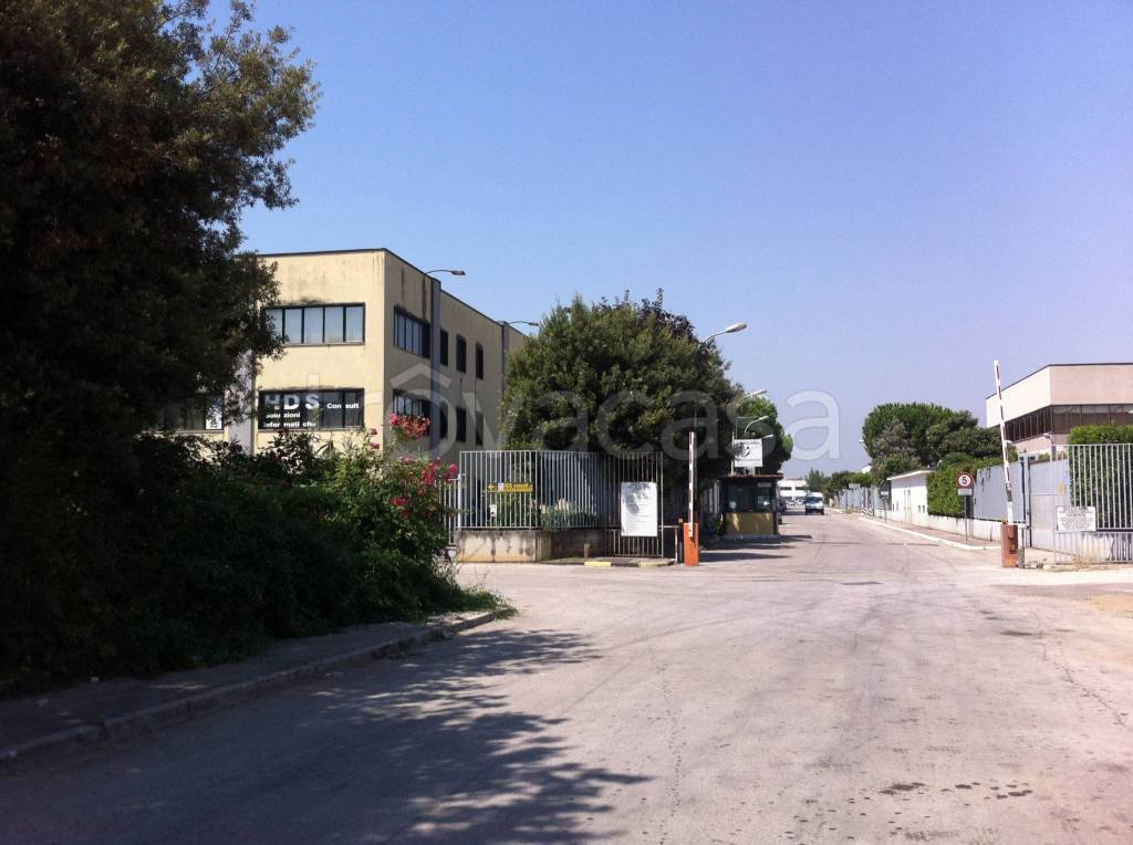 appartamento in affitto a Caserta